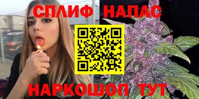 стафф Заволжье