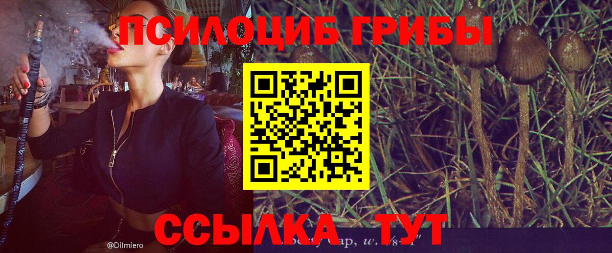 Галлюциногенные грибы ЛСД Мичуринск