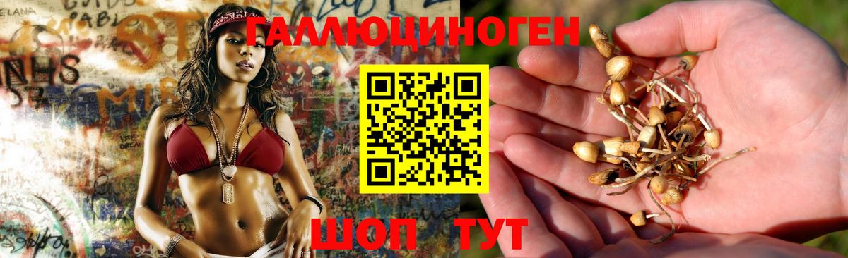 Мичуринск  Псилоцибиновые грибы мицелий  Вход с VPN 