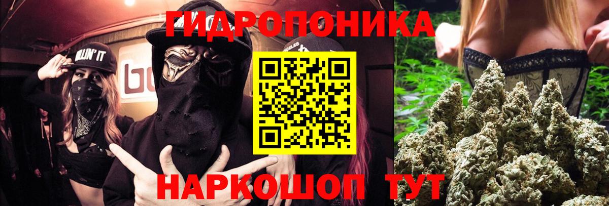 Бошки марихуана Ganja  Шишки марихуана VHQ  Мичуринск  Марихуана THC 21%  Вход с VPN 